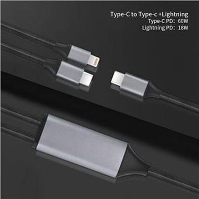 Type C and Lightning Plug Charging Cable